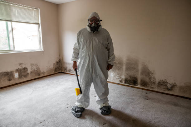 Home Mold Removal in Lewisburg, WV